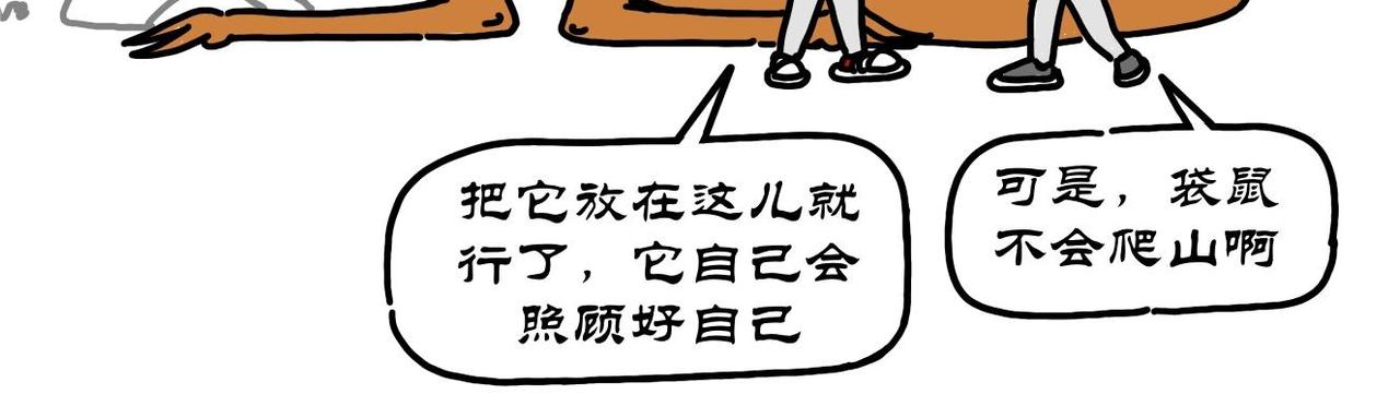 第12集 阿根廷巨鹰厉害，南方巨兽龙牛批(1/2)-第11话