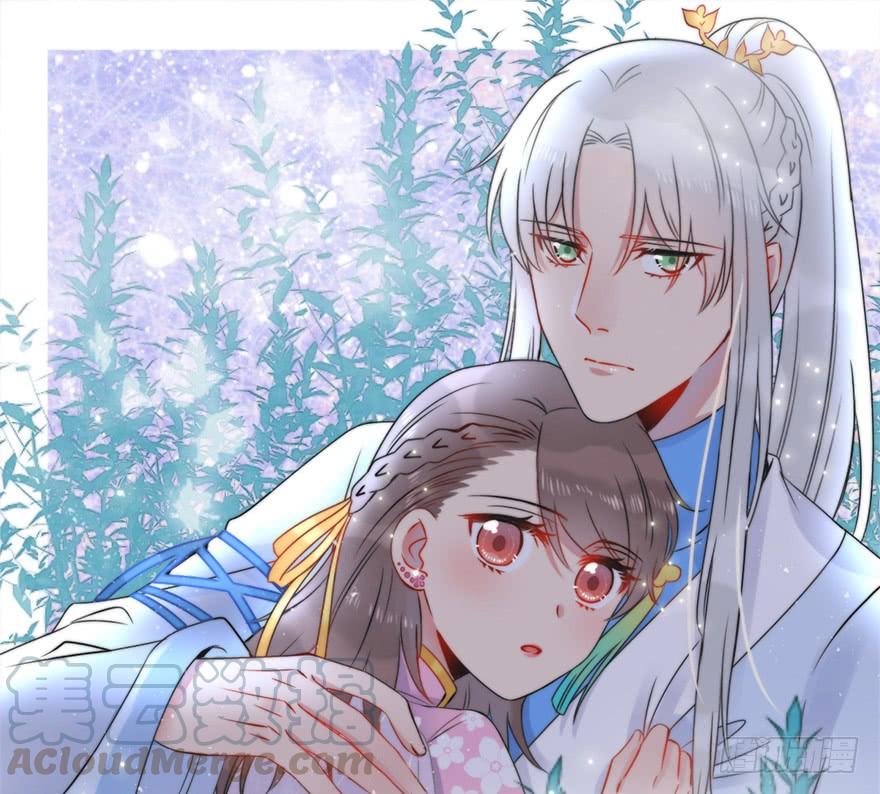 67.他的决心（下）(1/2)-第75话