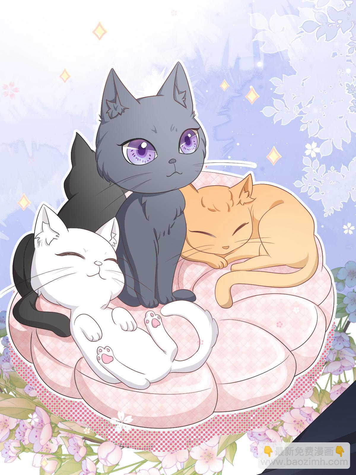 失業後我回去繼承億萬家產 - 27 我只喜歡美女(2/2) - 3