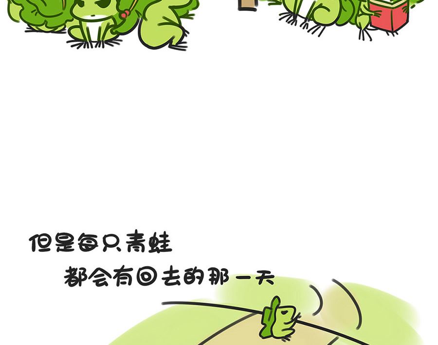 第二十三话 青蛙救助站-第23话