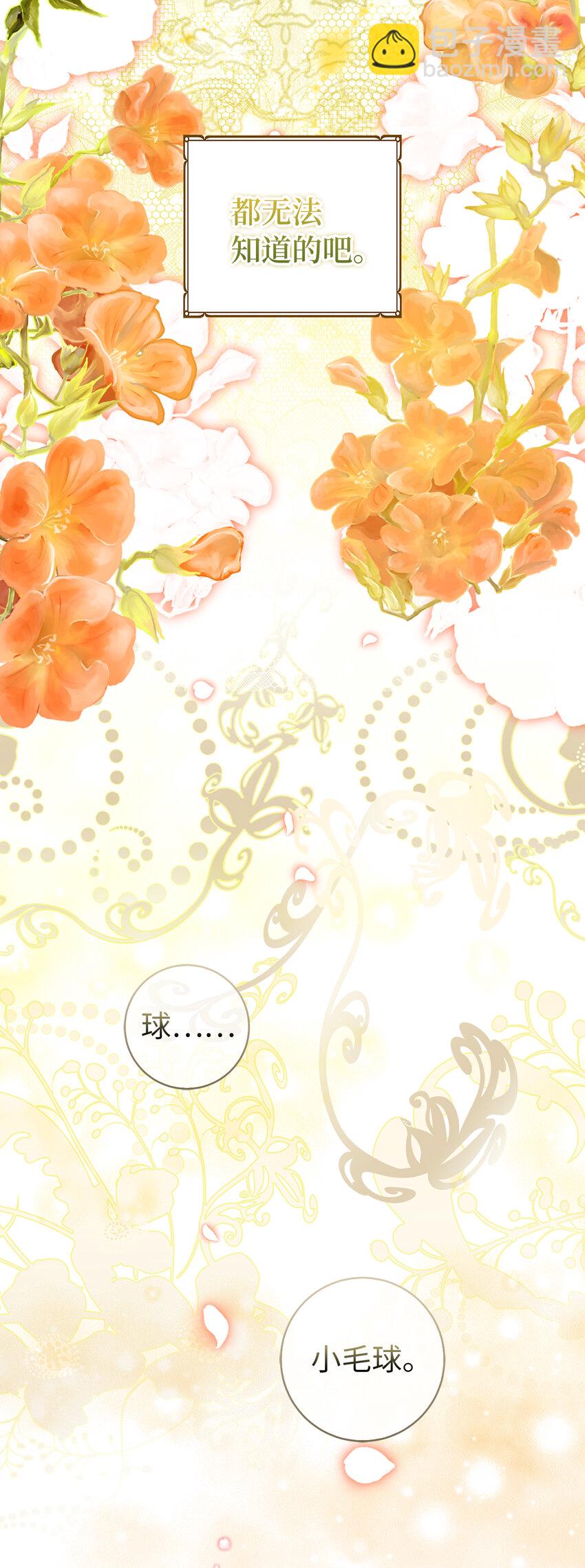 38 阿斯兰家族的风范(1/2)-第39话