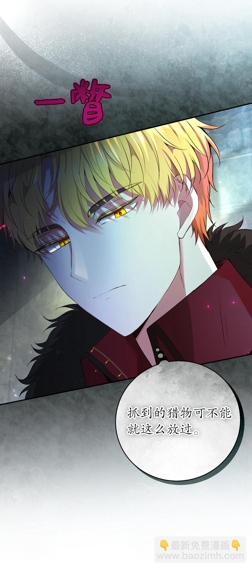 40 招惹阿斯兰的后果(1/2)-第41话