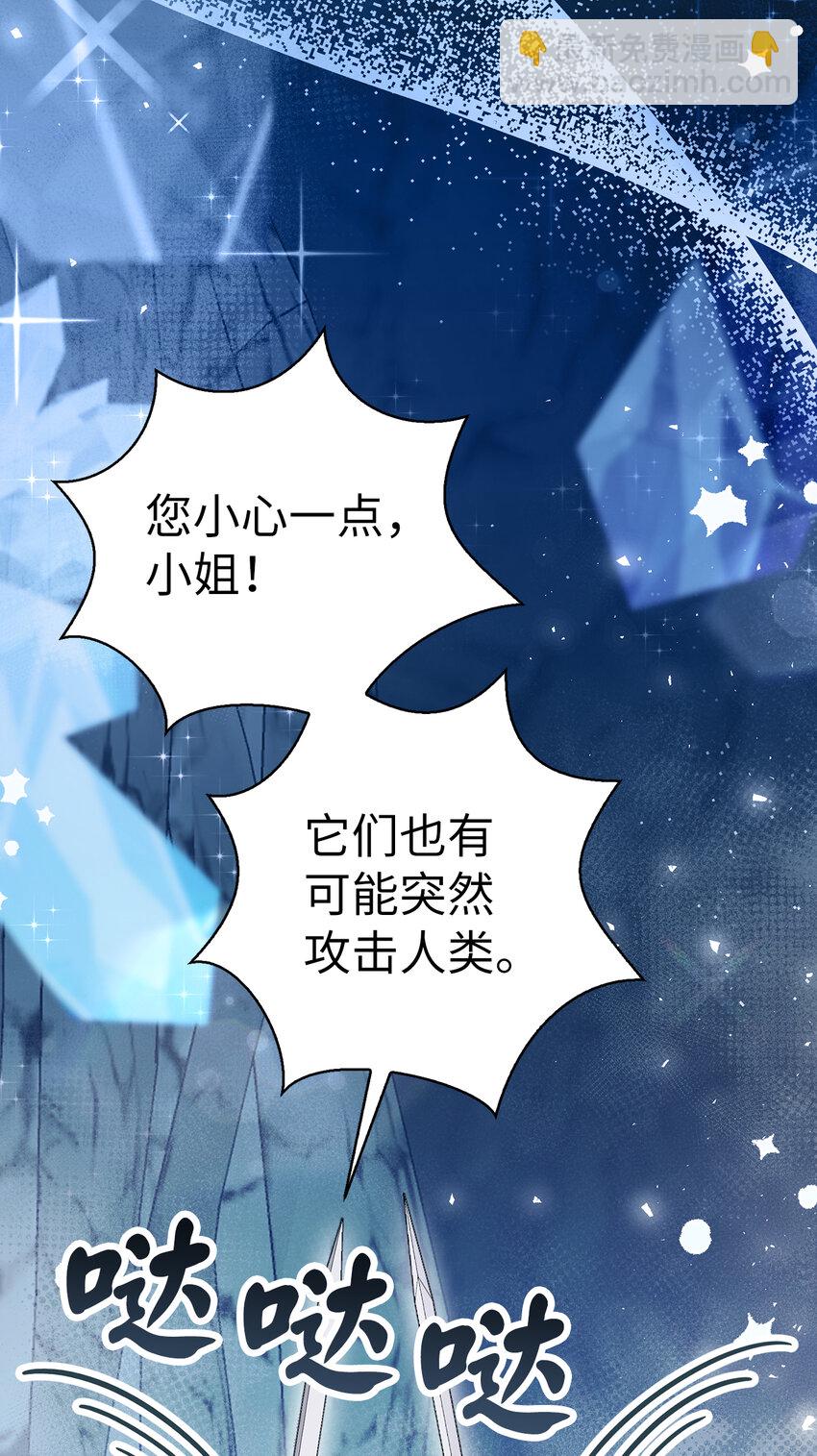 50 精灵石的守望者(1/2)-第51话