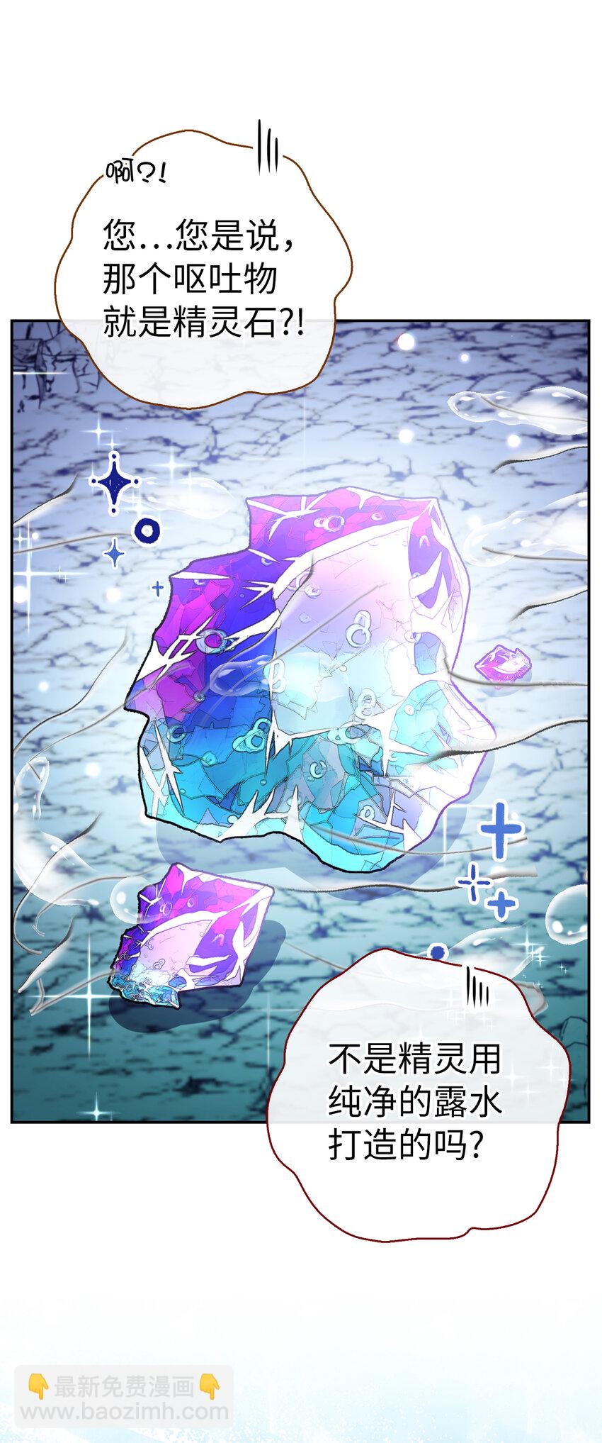 50 精灵石的守望者(1/2)-第51话