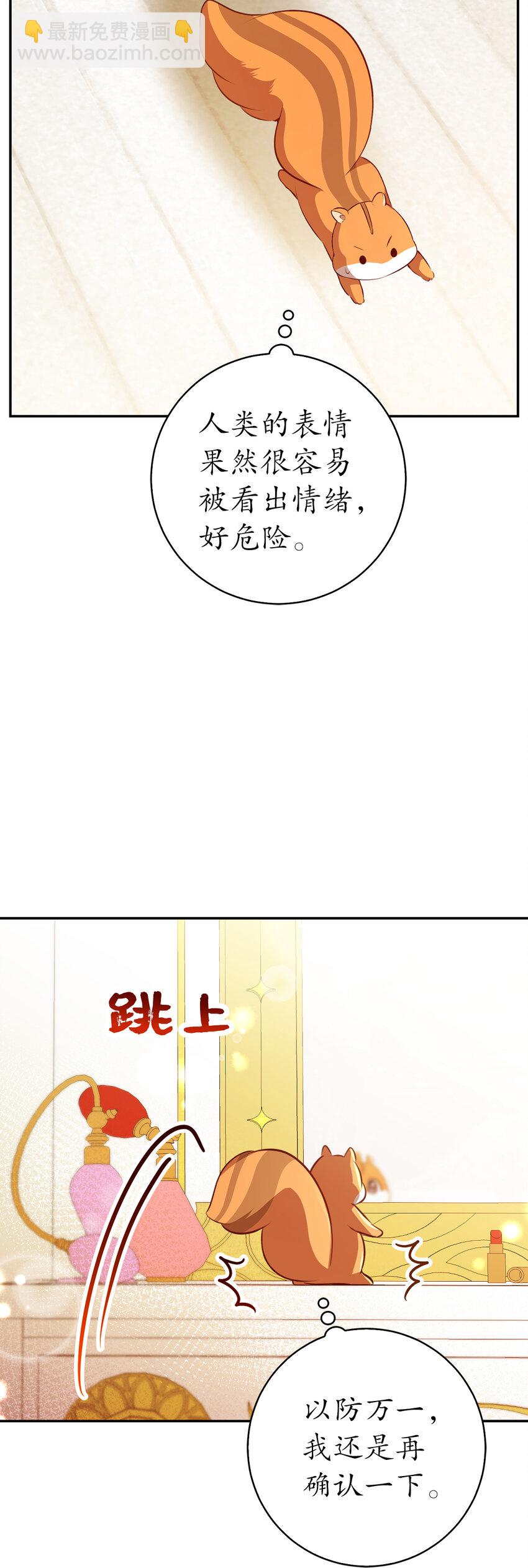 52 小松鼠的小秘密(1/2)-第53话