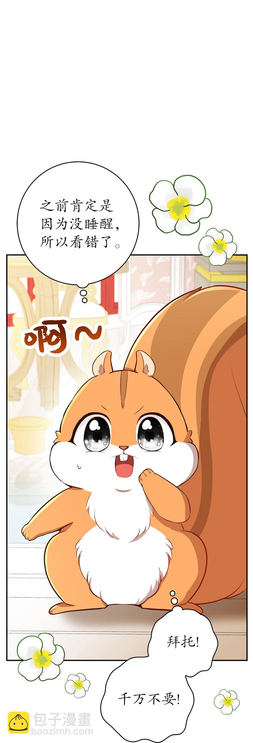 52 小松鼠的小秘密(1/2)-第53话