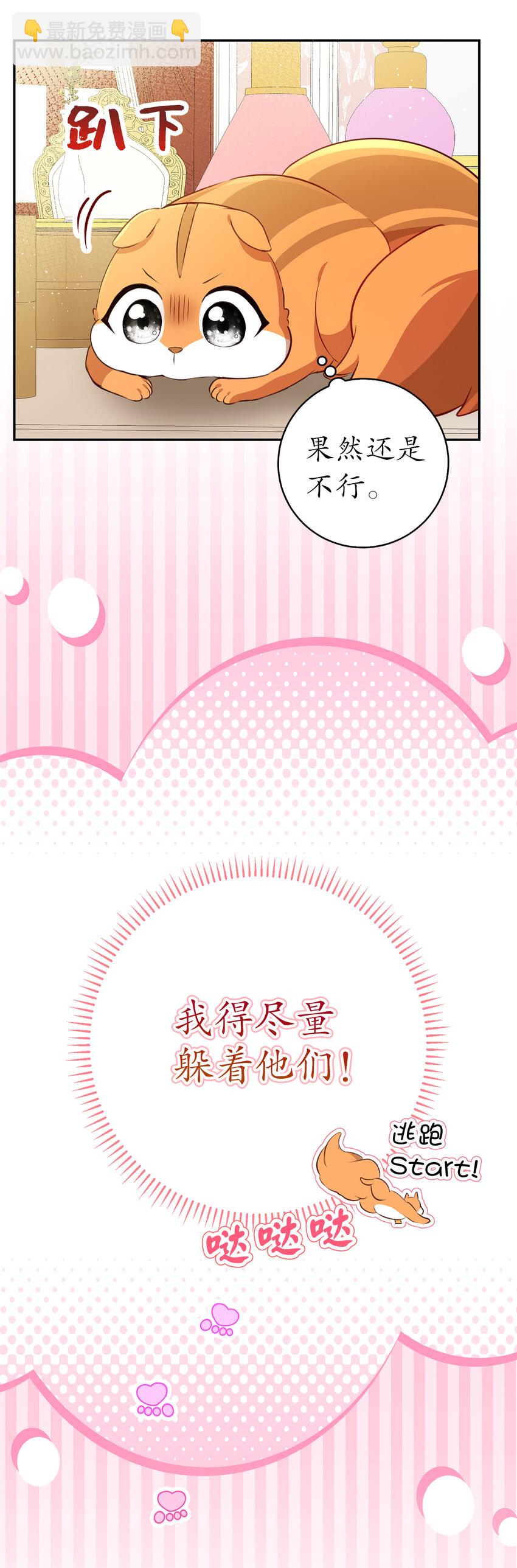 52 小松鼠的小秘密(1/2)-第53话
