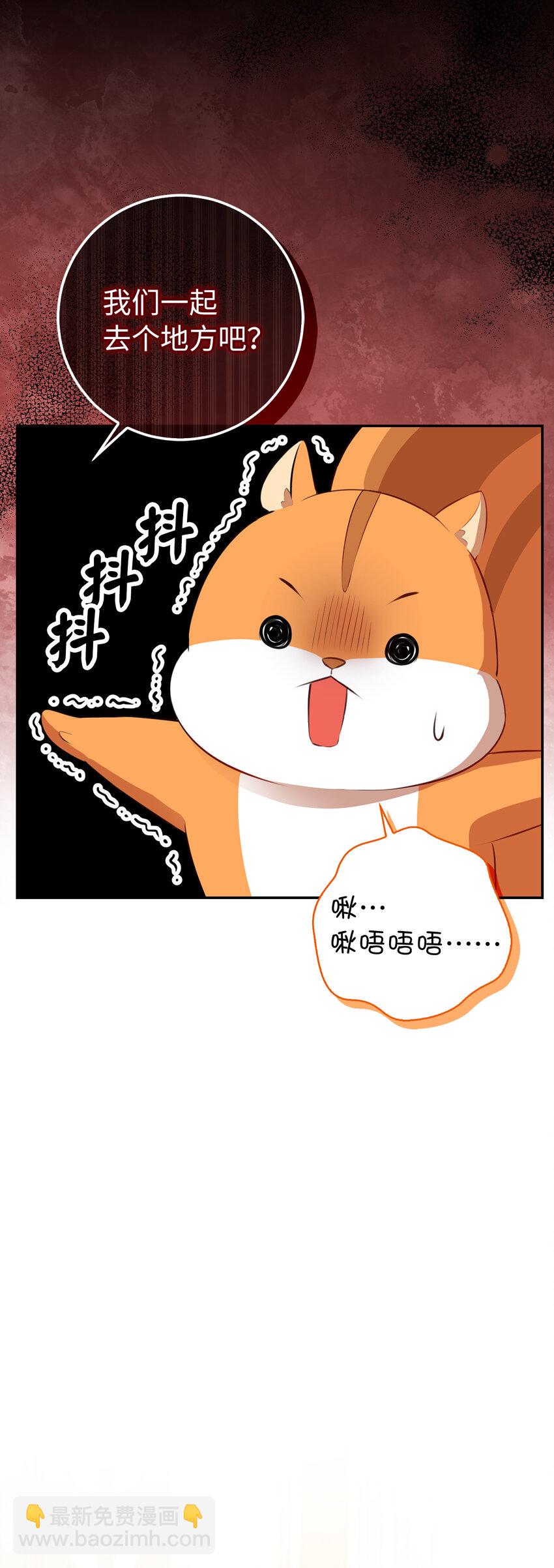 52 小松鼠的小秘密(1/2)-第53话