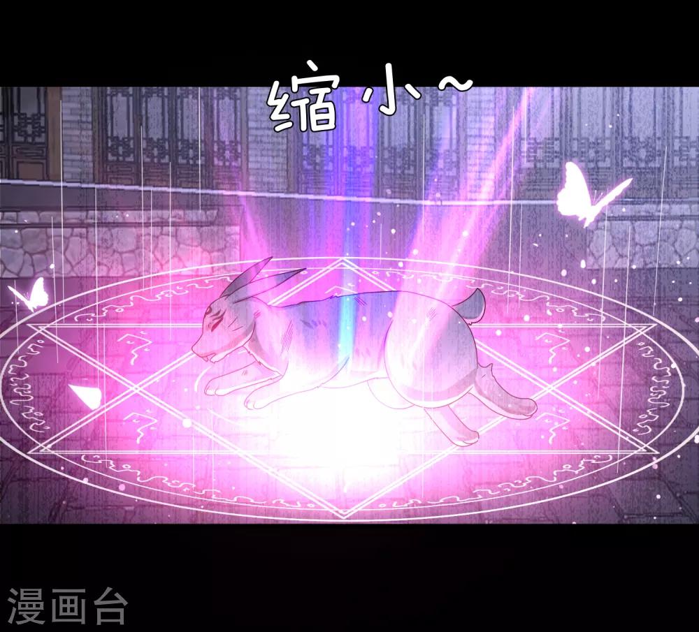 獸寵女皇(舊) - 第39話 哪裡跑來的假女皇？！ - 5