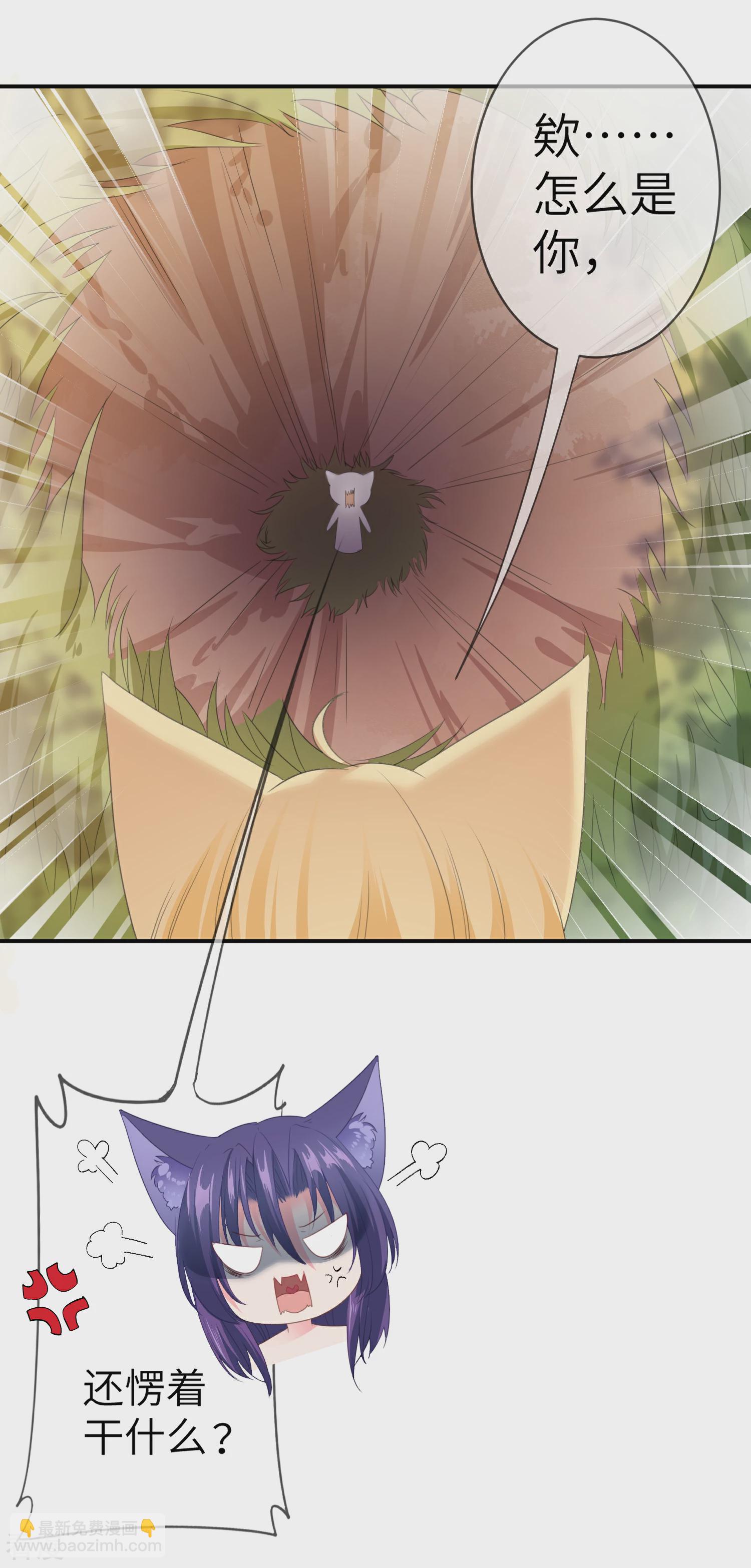 第122话 你才是猪，你全家都是猪！-第139话