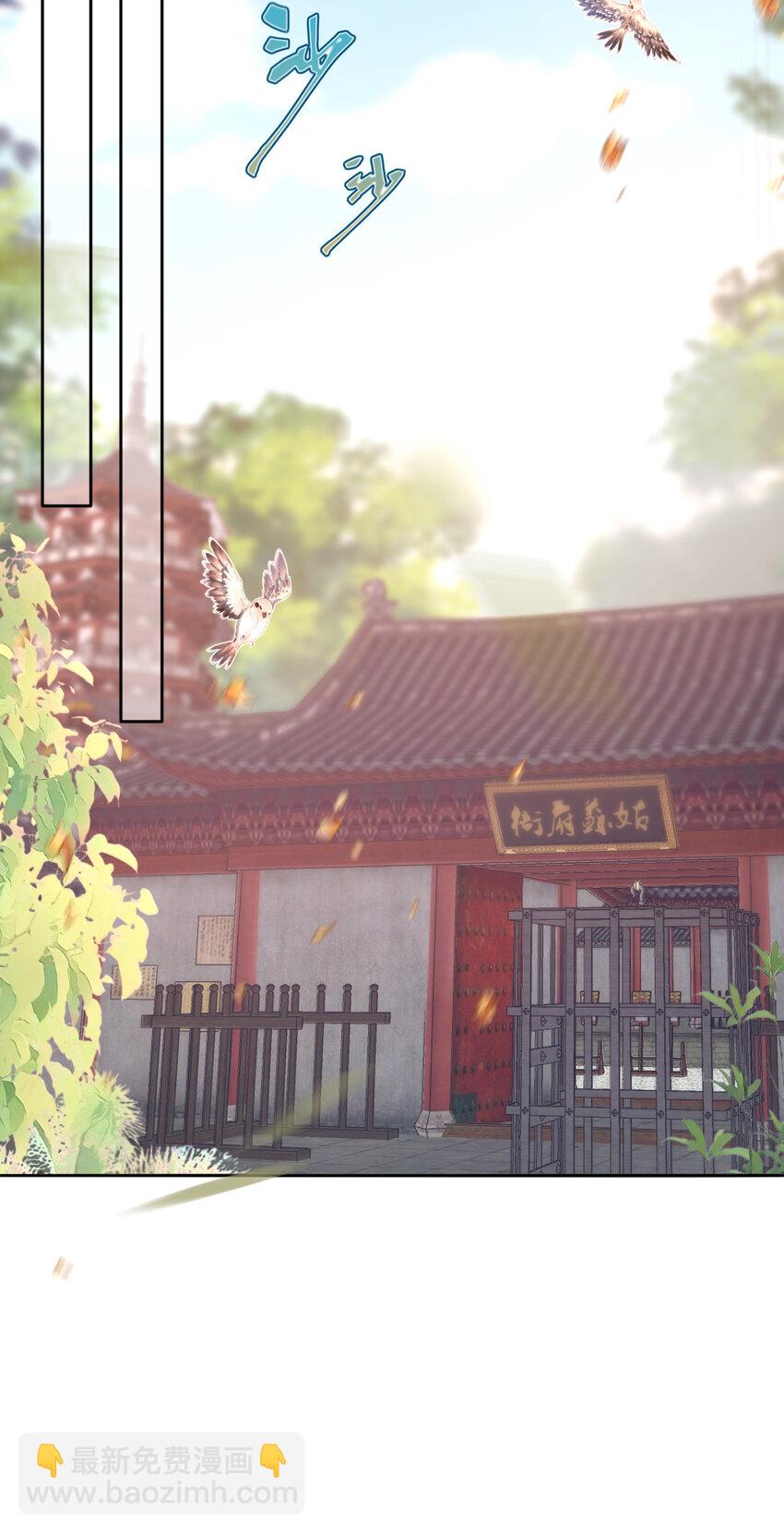 42 长大以后净空保护娇娇！(1/2)-第43话