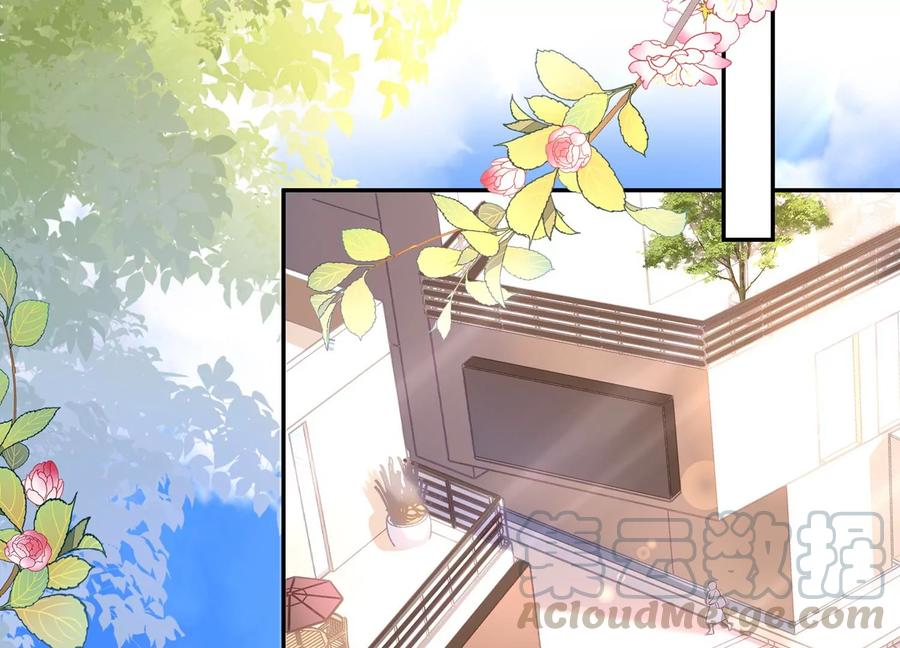 第113话 兄妹重逢(1/2)-第117话