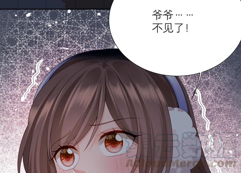 第76话 雪中的幻影(1/2)-第79话