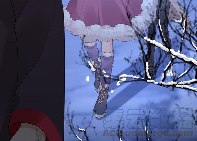 第76话 雪中的幻影(1/2)-第79话