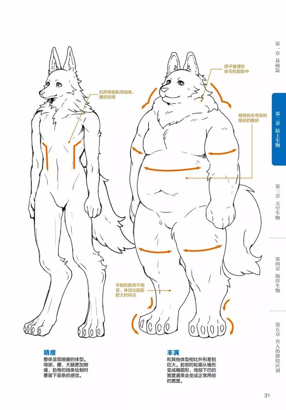 獸人的描繪方法 -從真實系獸人到抽象系獸人 - 陸上生物 犬獸人的描繪方法 - 3