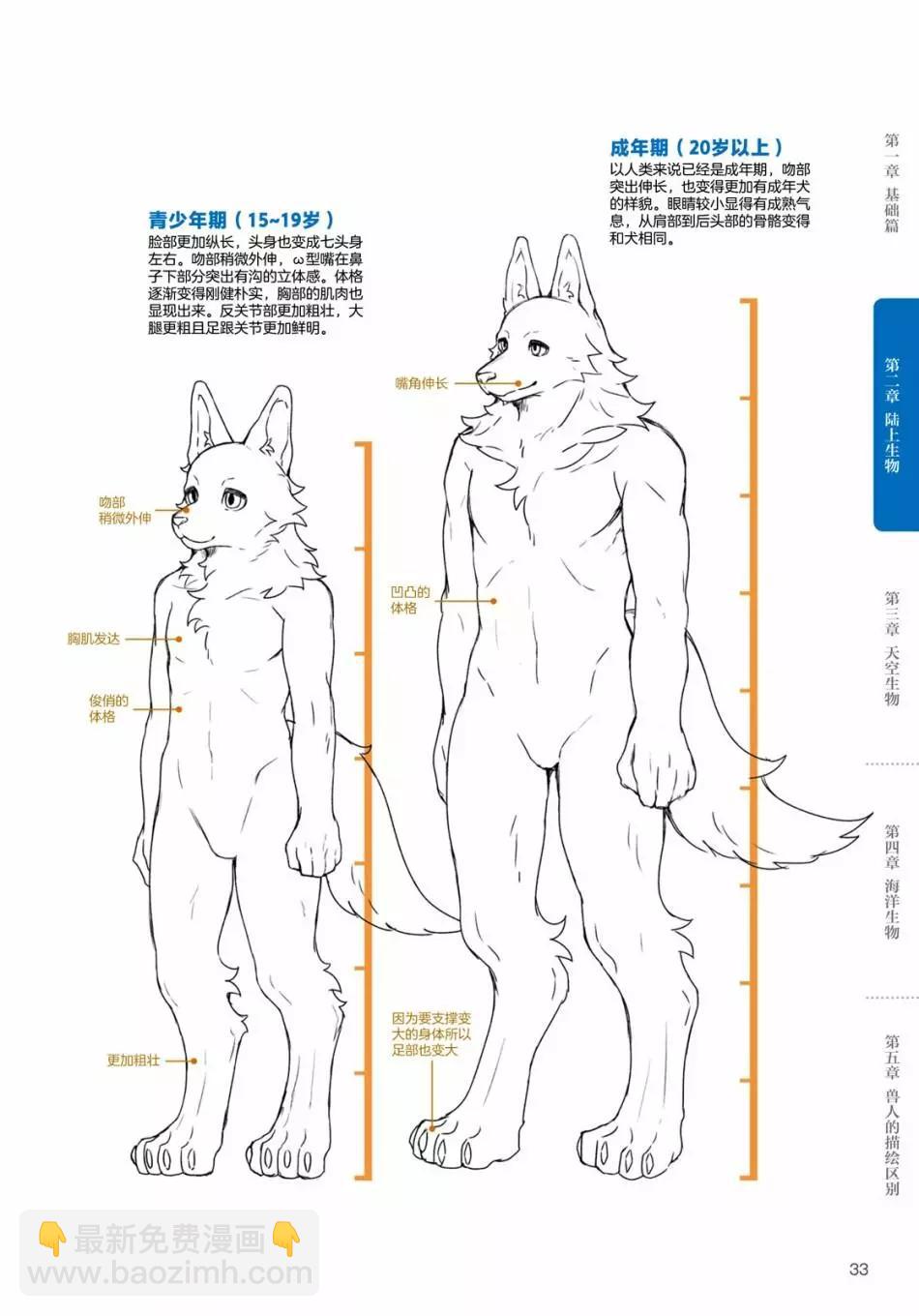 獸人的描繪方法 -從真實系獸人到抽象系獸人 - 陸上生物 犬獸人的描繪方法 - 1
