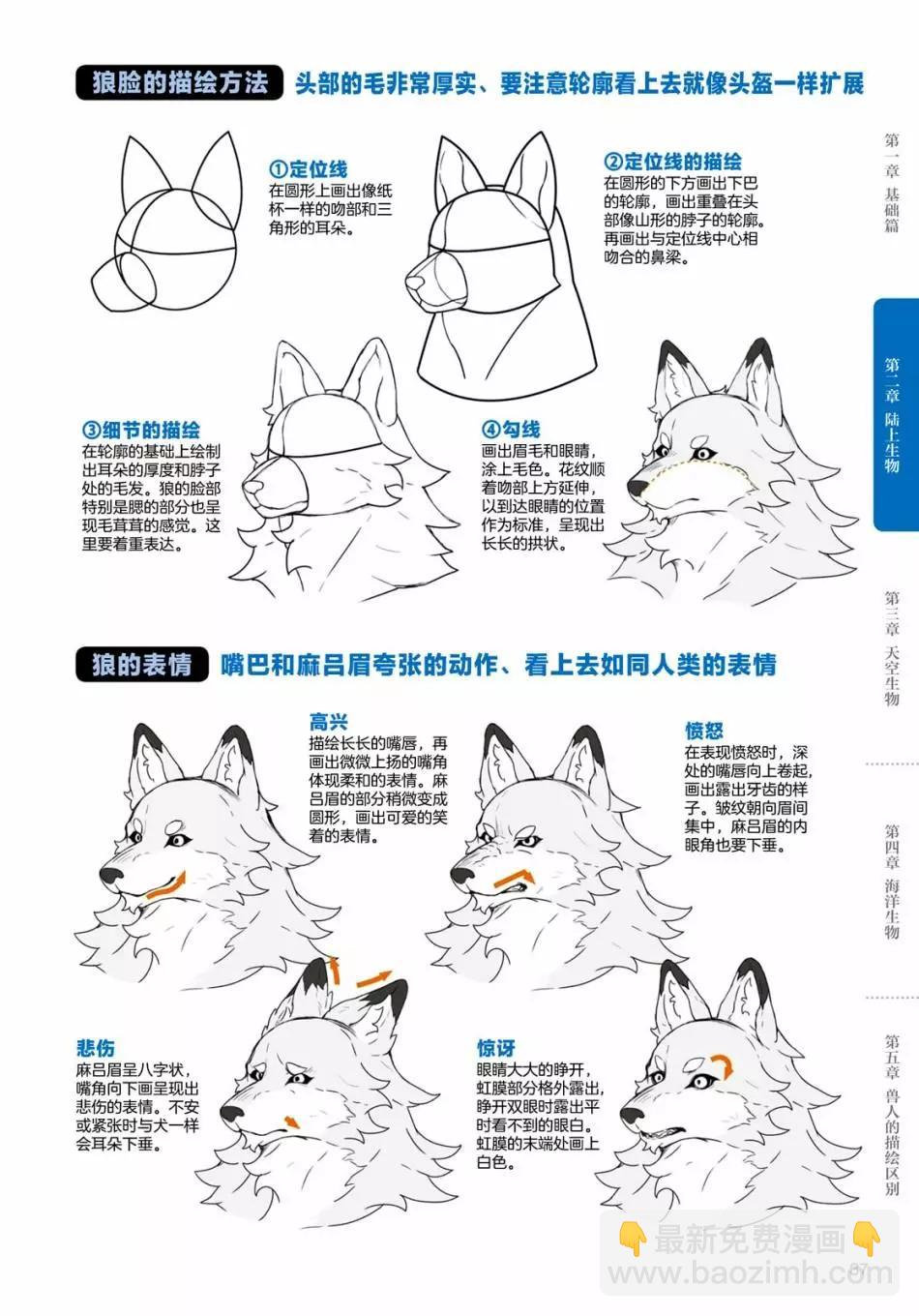 獸人的描繪方法 -從真實系獸人到抽象系獸人 - 陸上生物 犬獸人的描繪方法 - 1