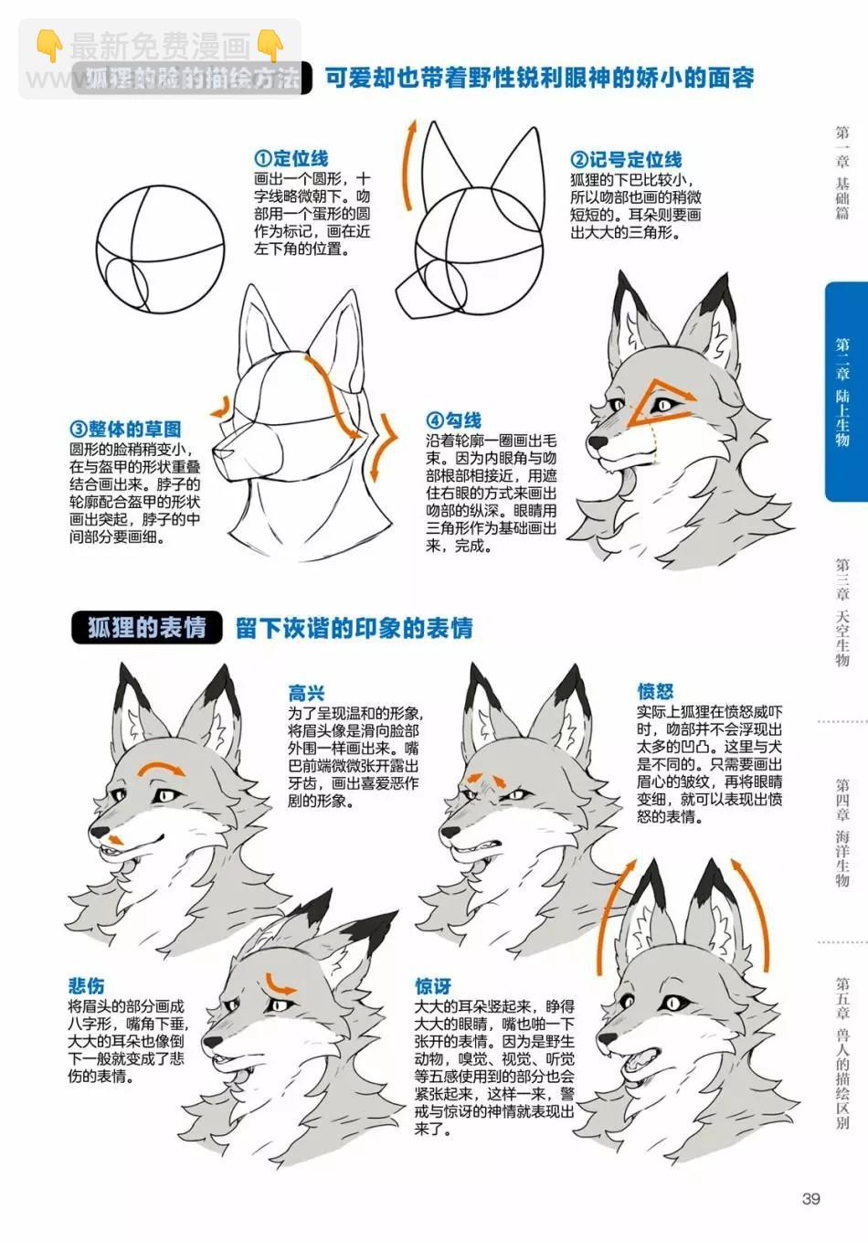 獸人的描繪方法 -從真實系獸人到抽象系獸人 - 陸上生物 犬獸人的描繪方法 - 3