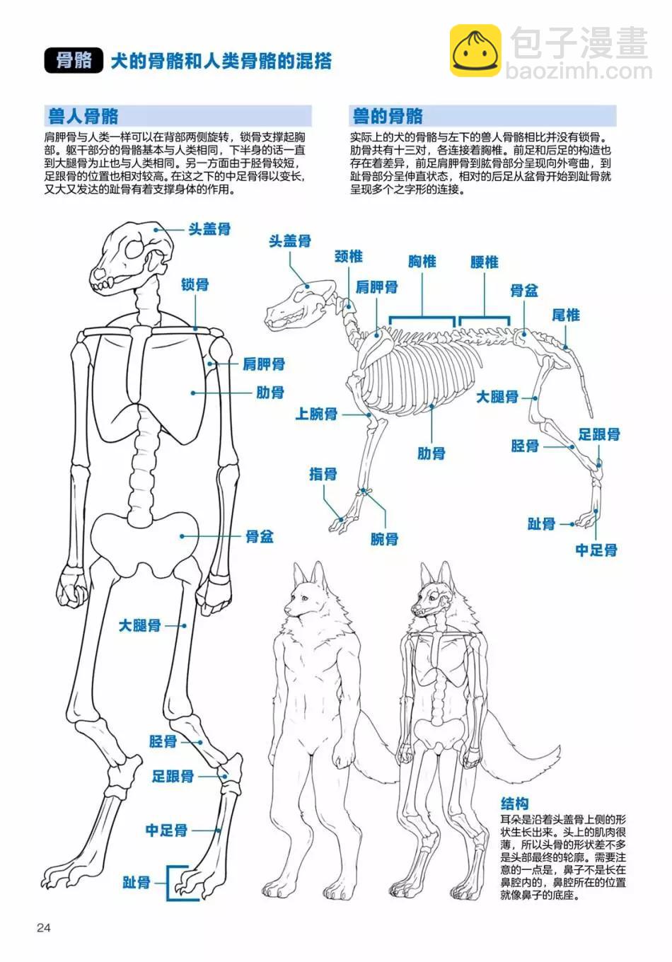 獸人的描繪方法 -從真實系獸人到抽象系獸人 - 陸上生物 犬獸人的描繪方法 - 4