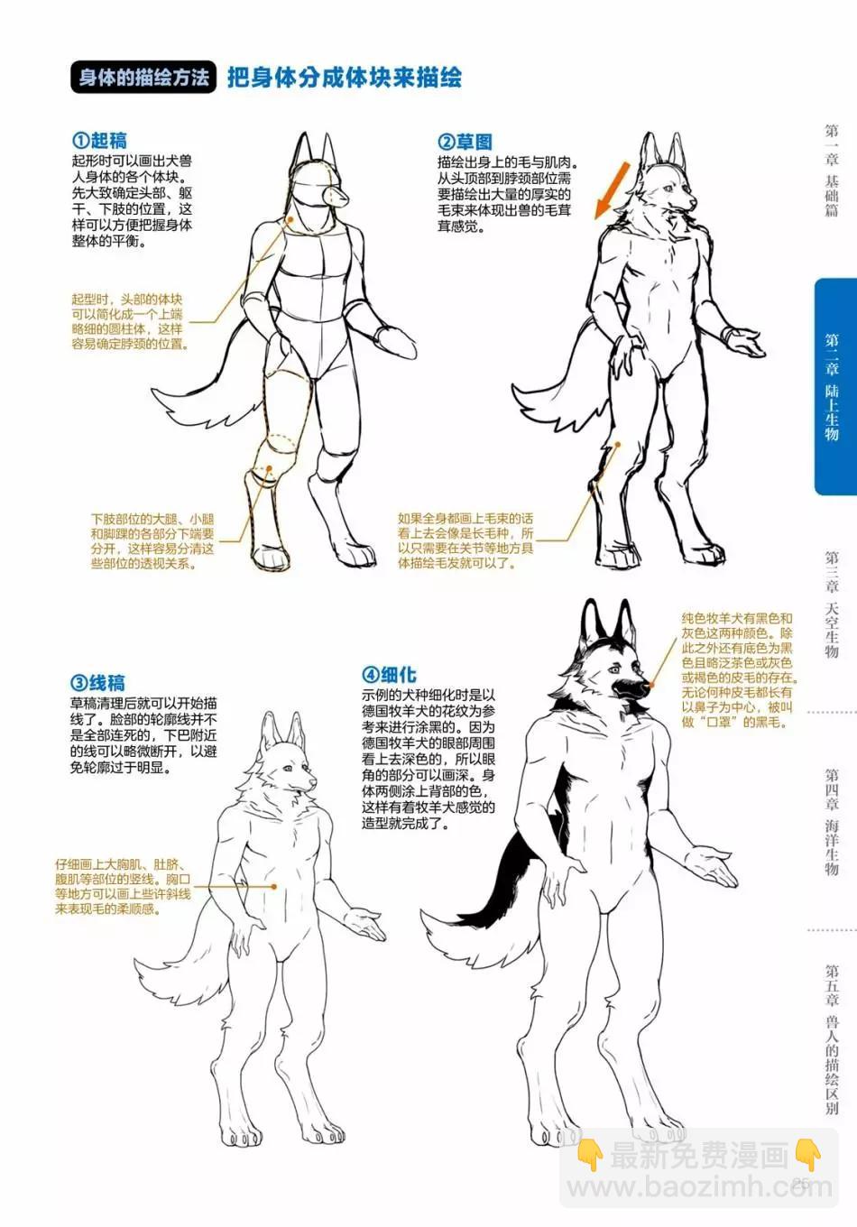 獸人的描繪方法 -從真實系獸人到抽象系獸人 - 陸上生物 犬獸人的描繪方法 - 1