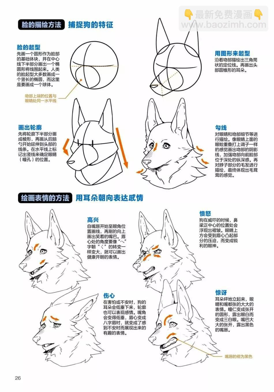 獸人的描繪方法 -從真實系獸人到抽象系獸人 - 陸上生物 犬獸人的描繪方法 - 2