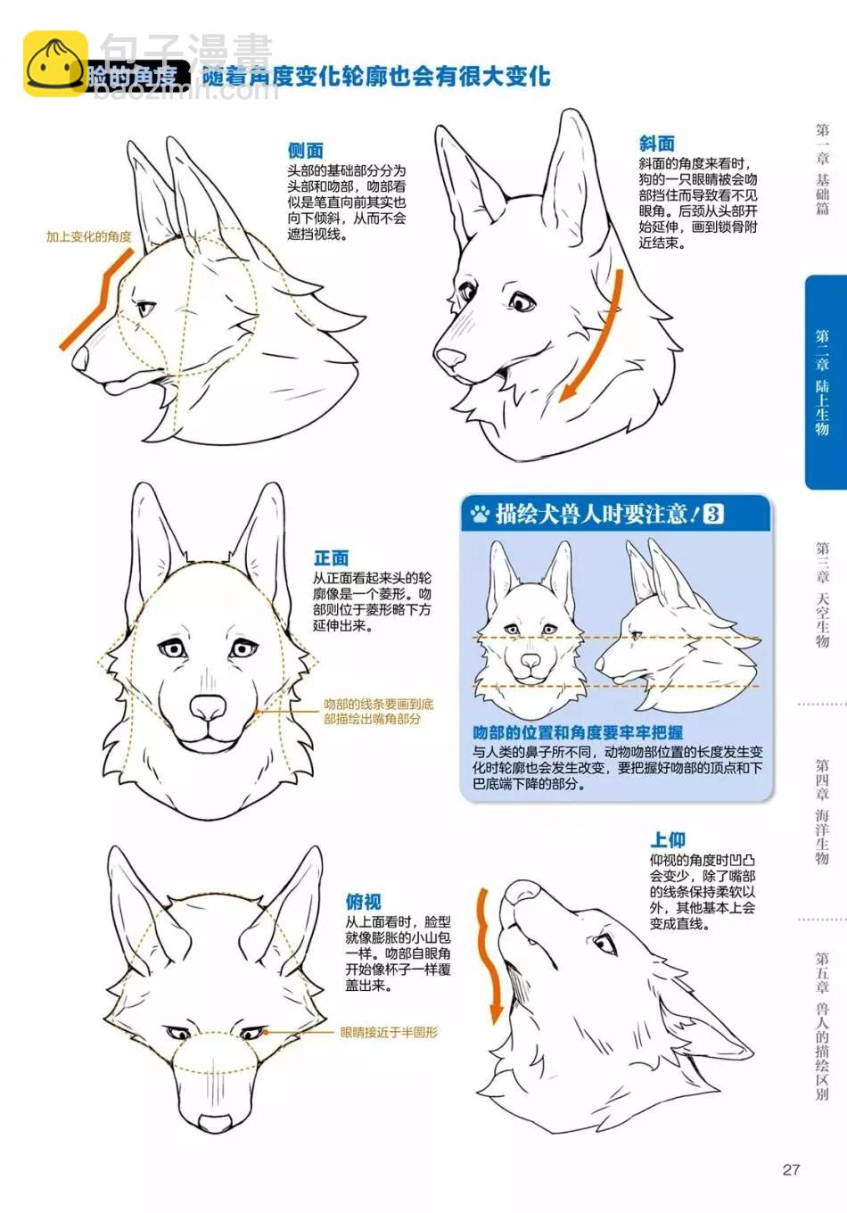 獸人的描繪方法 -從真實系獸人到抽象系獸人 - 陸上生物 犬獸人的描繪方法 - 3