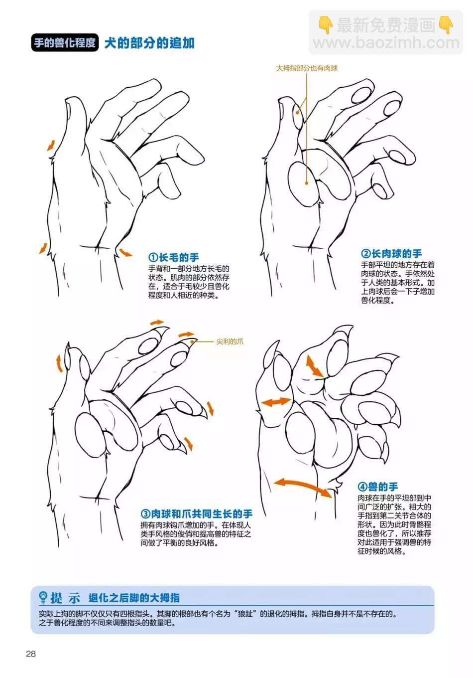 獸人的描繪方法 -從真實系獸人到抽象系獸人 - 陸上生物 犬獸人的描繪方法 - 4