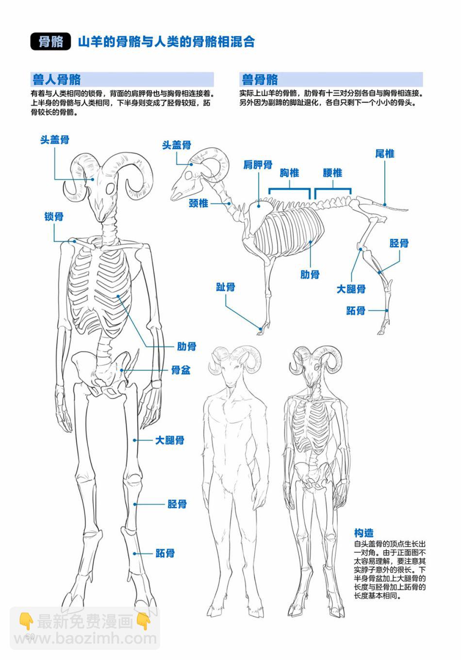 獸人的描繪方法 -從真實系獸人到抽象系獸人 - 第2.3話 陸上生物 有蹄類獸人的描繪方法 - 3