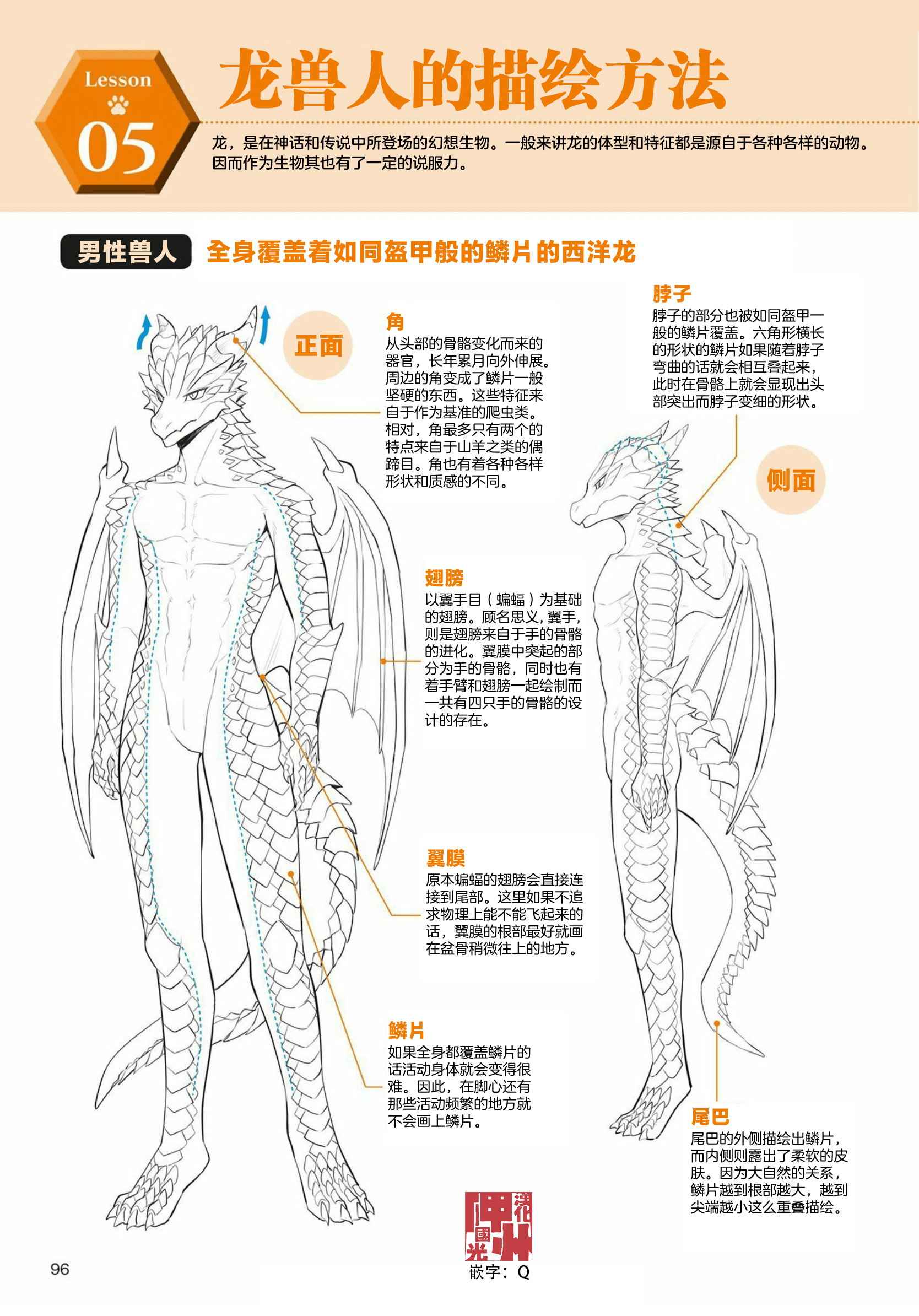 兽人的描绘方法 -从真实系兽人到抽象系兽人 - 第3.2话 天空生物 龙兽人的描绘方法 - 1