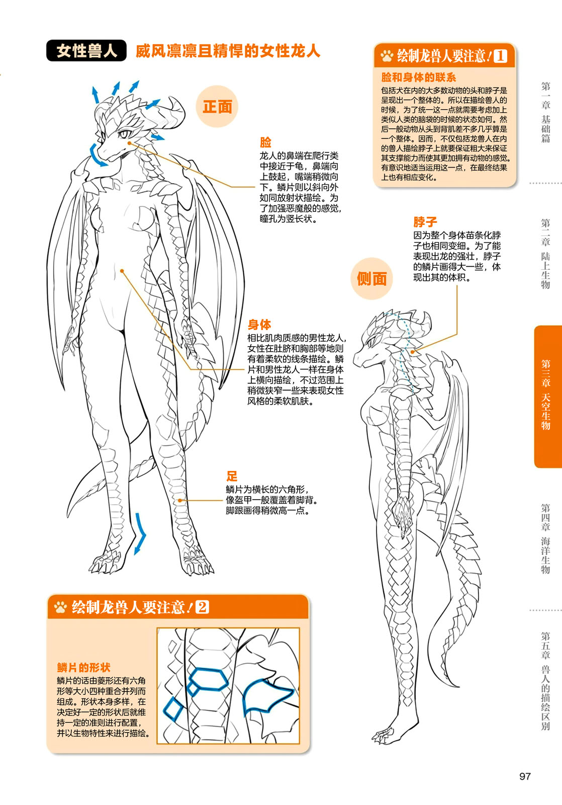 獸人的描繪方法 -從真實系獸人到抽象系獸人 - 第3.2話 天空生物 龍獸人的描繪方法 - 2