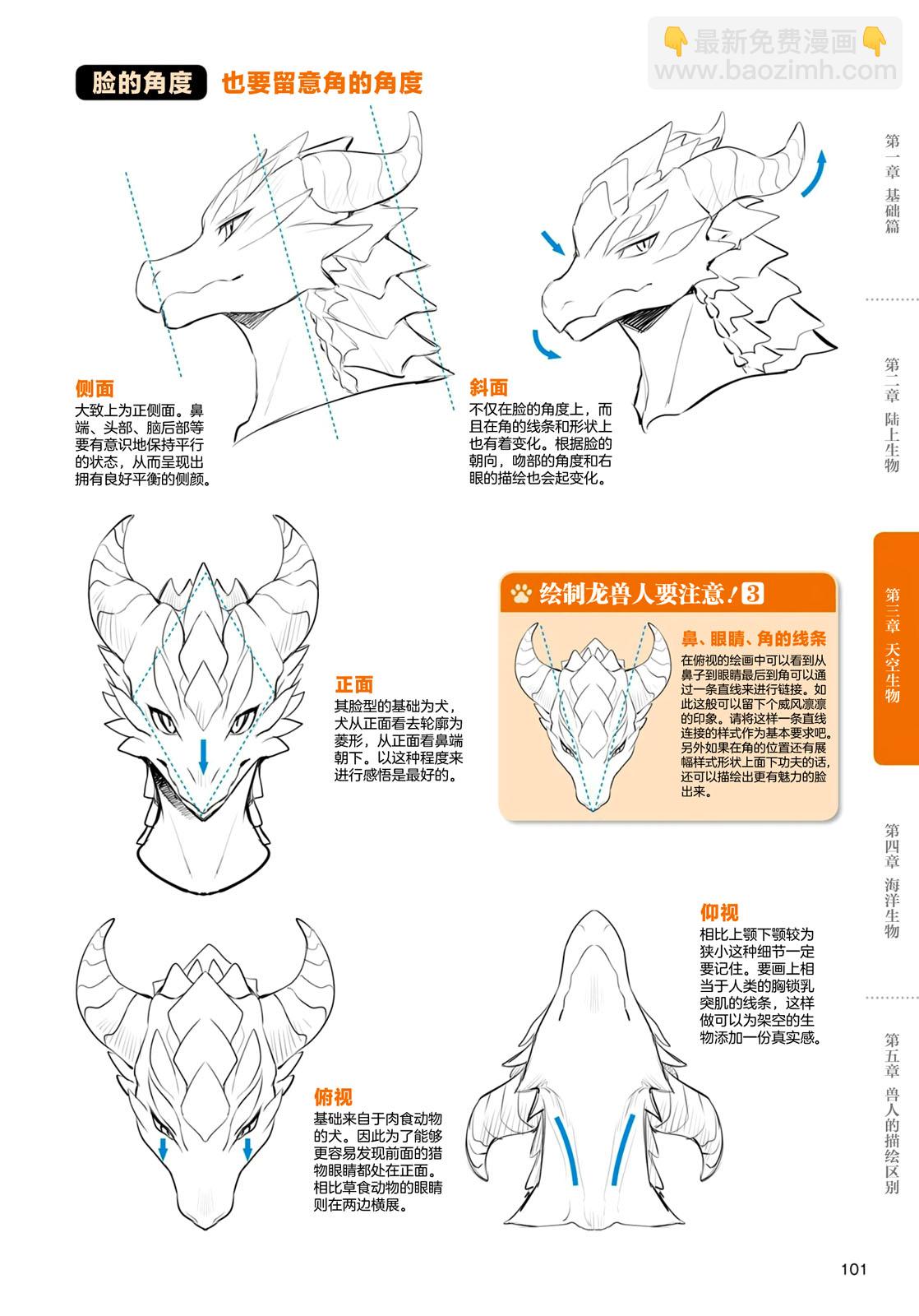 兽人的描绘方法 -从真实系兽人到抽象系兽人 - 第3.2话 天空生物 龙兽人的描绘方法 - 2