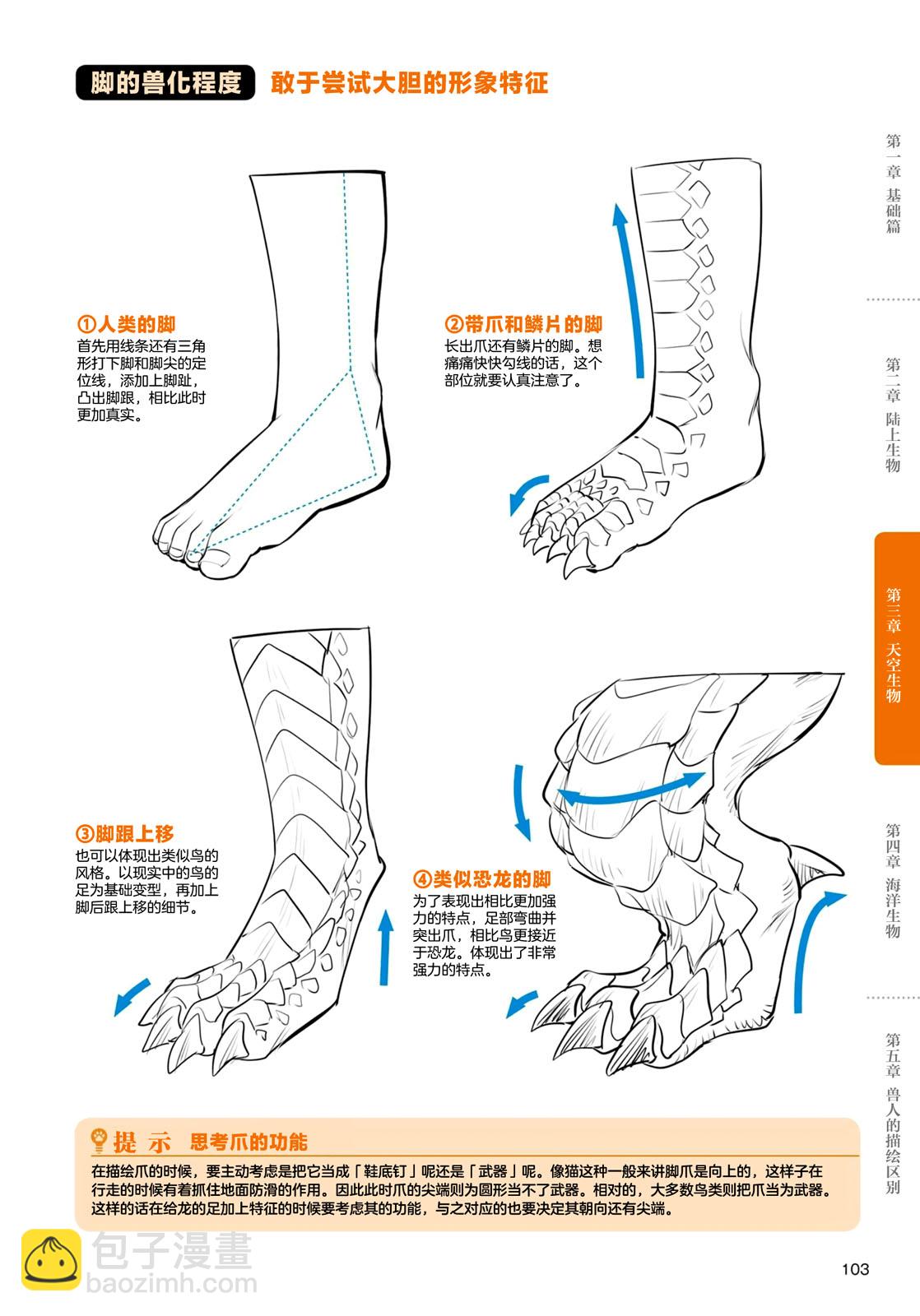 兽人的描绘方法 -从真实系兽人到抽象系兽人 - 第3.2话 天空生物 龙兽人的描绘方法 - 4