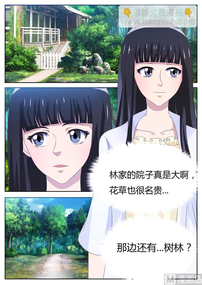 第19话 林间神秘小屋-第19话