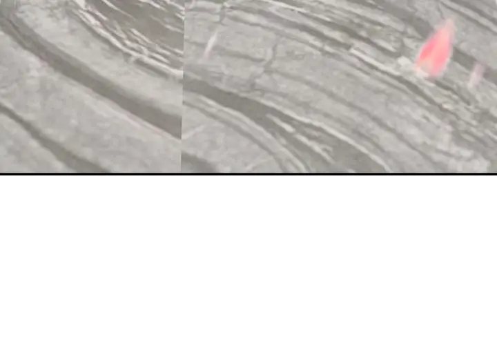 第96话 嫁给我(1/3)-第97话