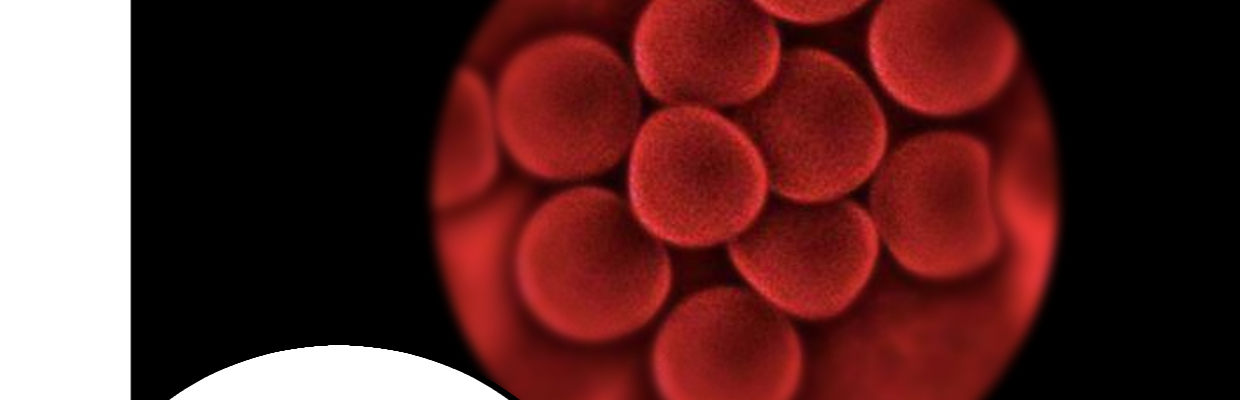 准备好了(1/3)-第19话