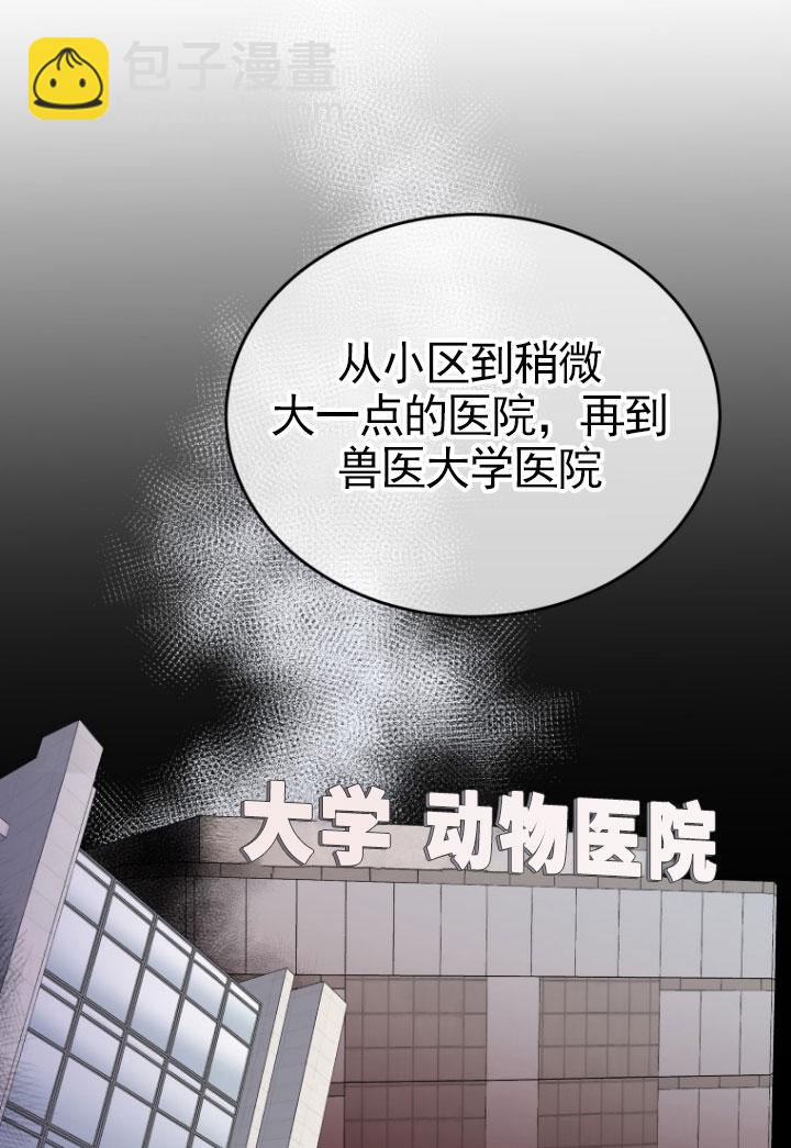 獸醫先生！你好？ - 第20話(1/2) - 7
