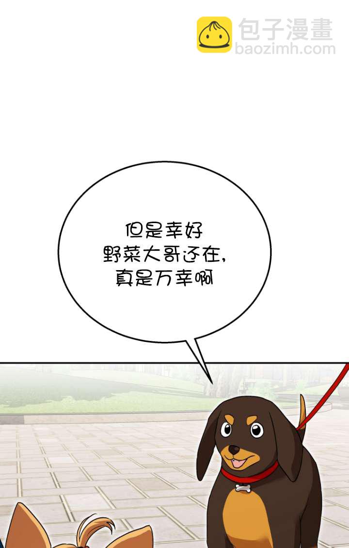 獸醫先生！你好？ - 第32話(1/2) - 8