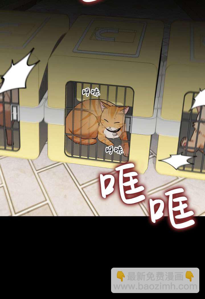 獸醫先生！你好？ - 第08話(1/3) - 2