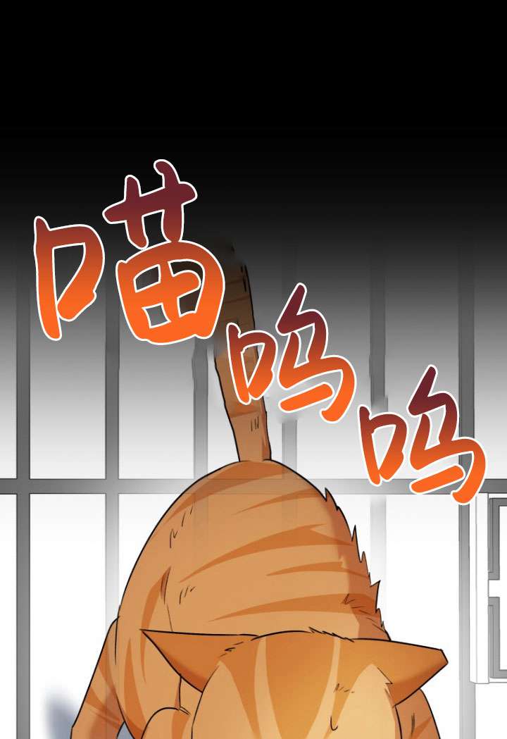 獸醫先生！你好？ - 第08話(1/3) - 5