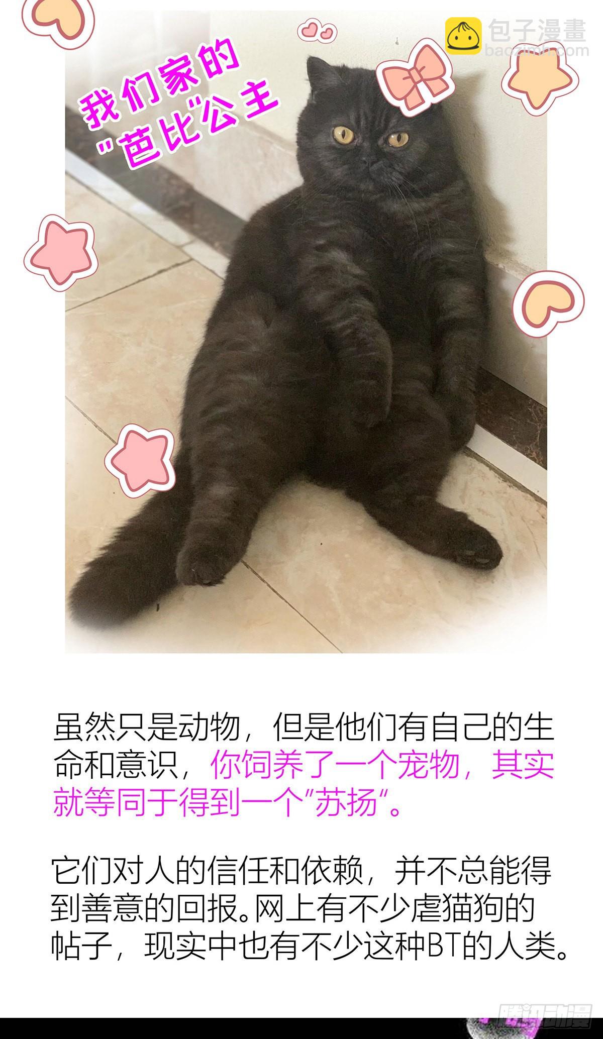 第41话 梦（4）-第43话