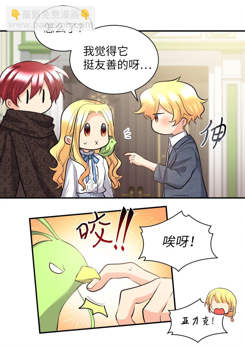 139 番外1 傲娇的小鸟(1/2)-第135话