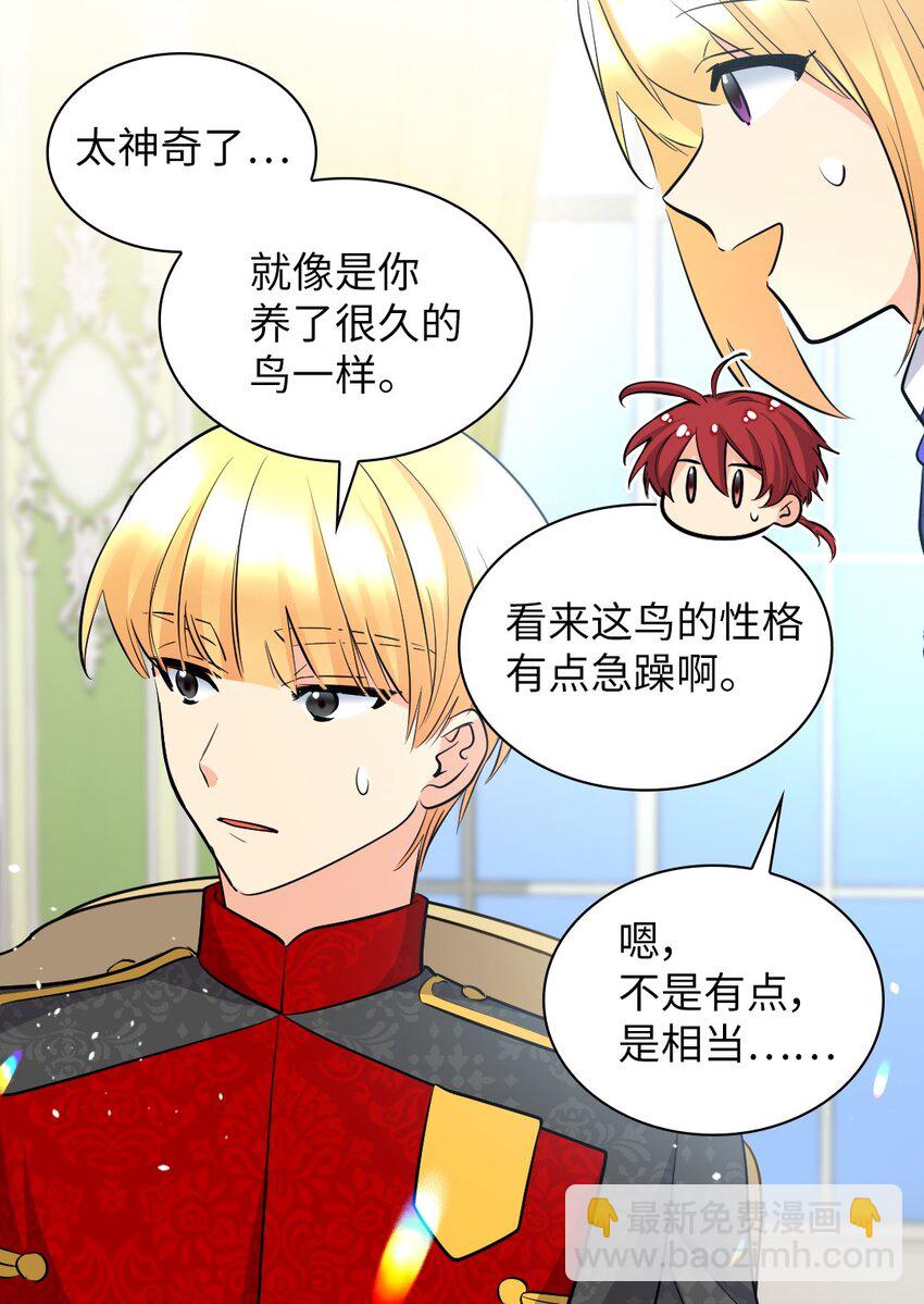 139 番外1 傲娇的小鸟(1/2)-第135话