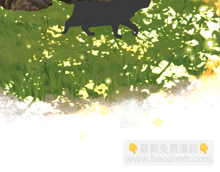 第28话 爱屋及乌(1/3)-第29话