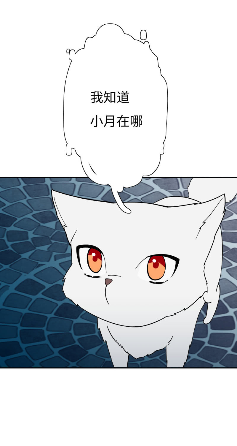 与小狐狸的对话-第15话