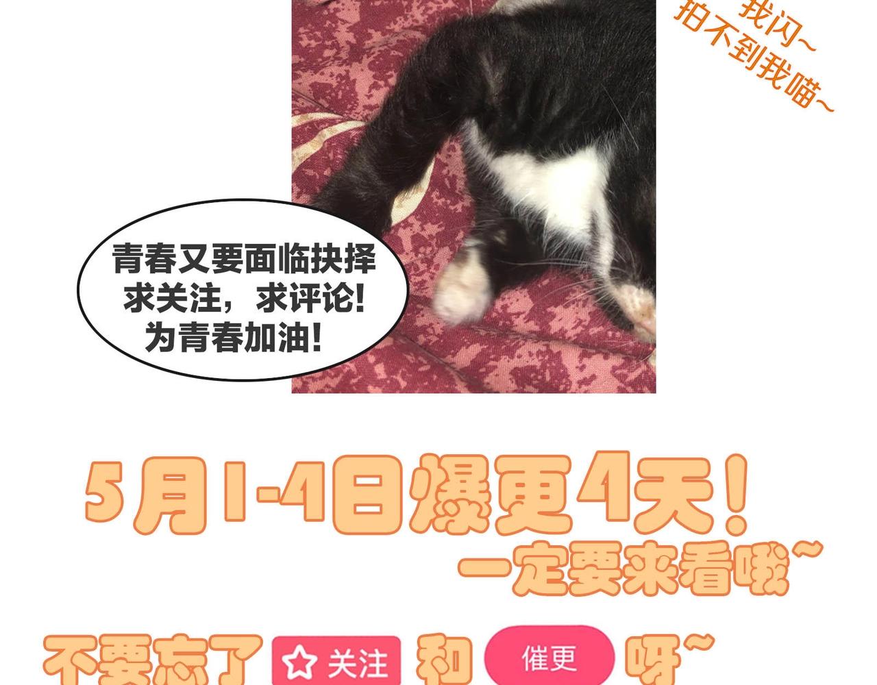 第52话 我的妻子-第53话