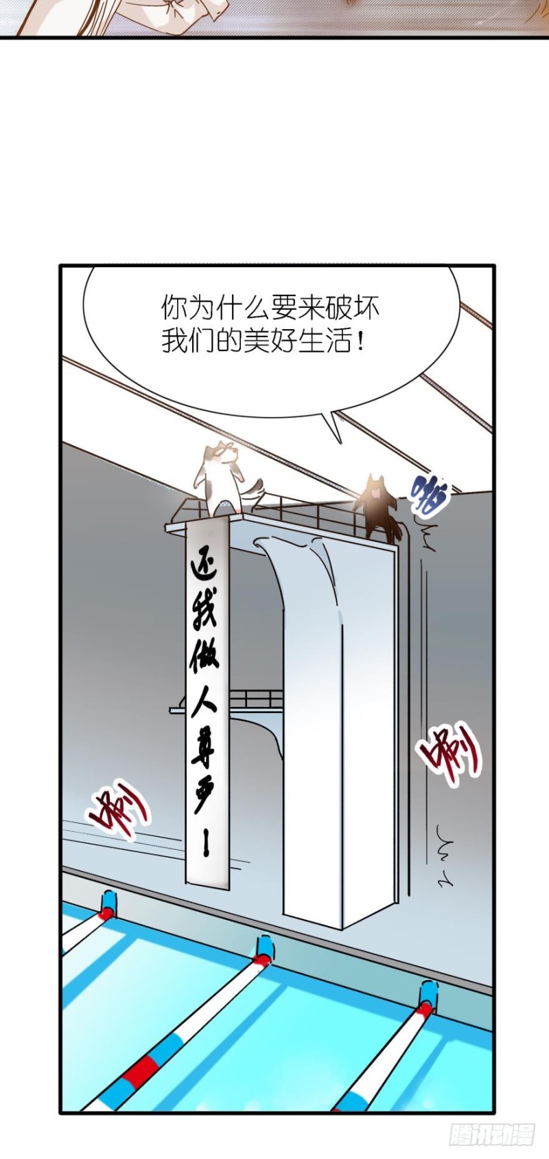 第三十五话-第35话