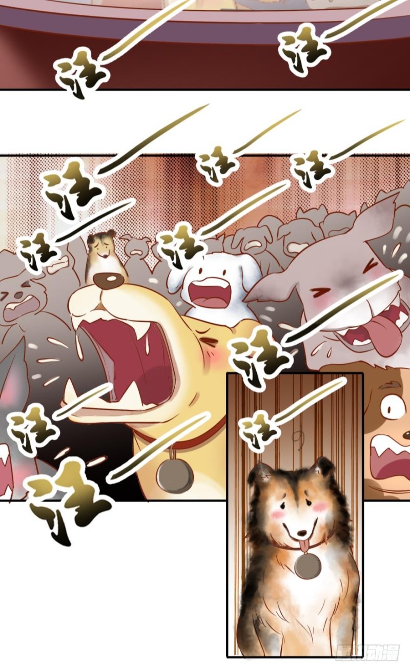 第三十七话-第37话