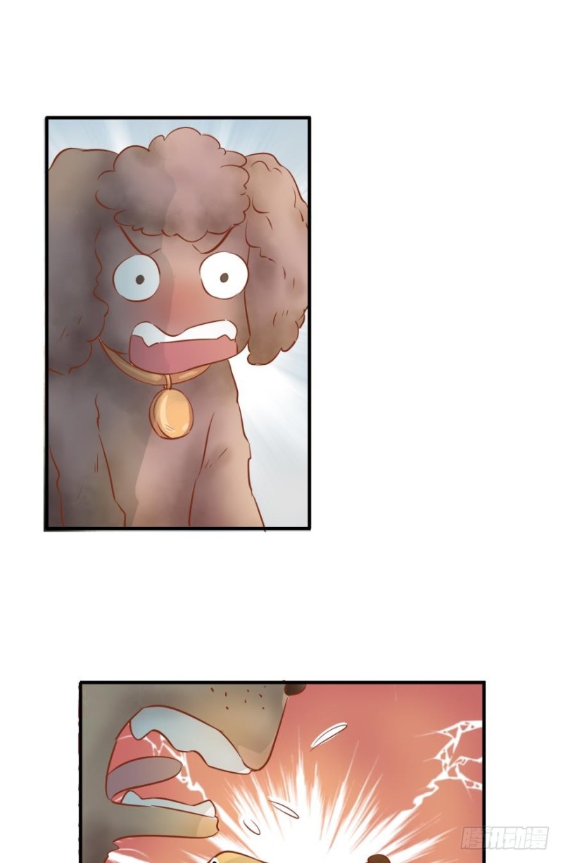 第四十一话-第41话