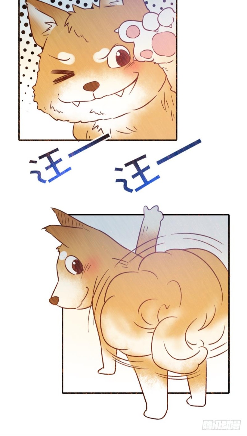 第七十一话-第71话