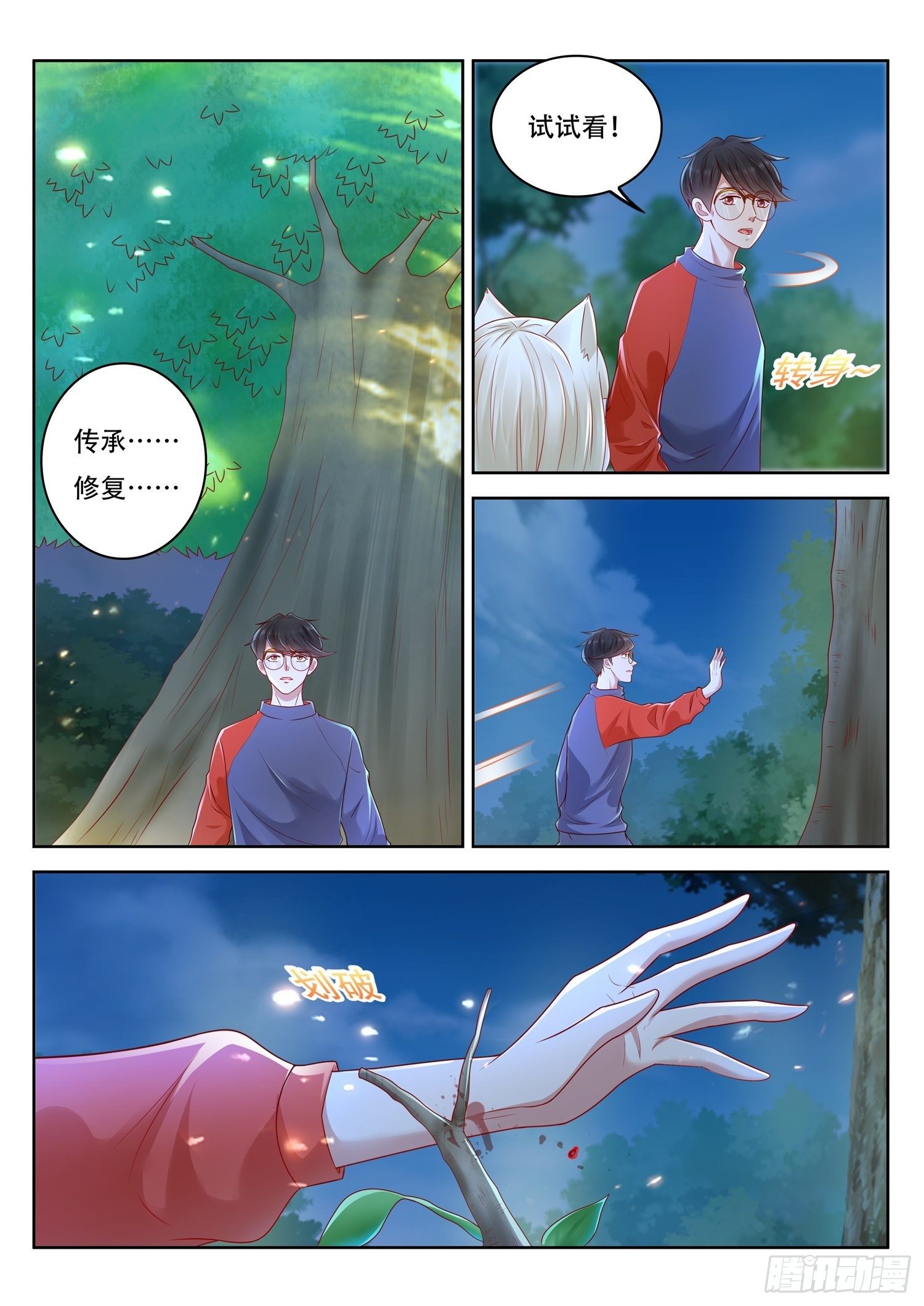 第68话 如何修理一棵树-第69话